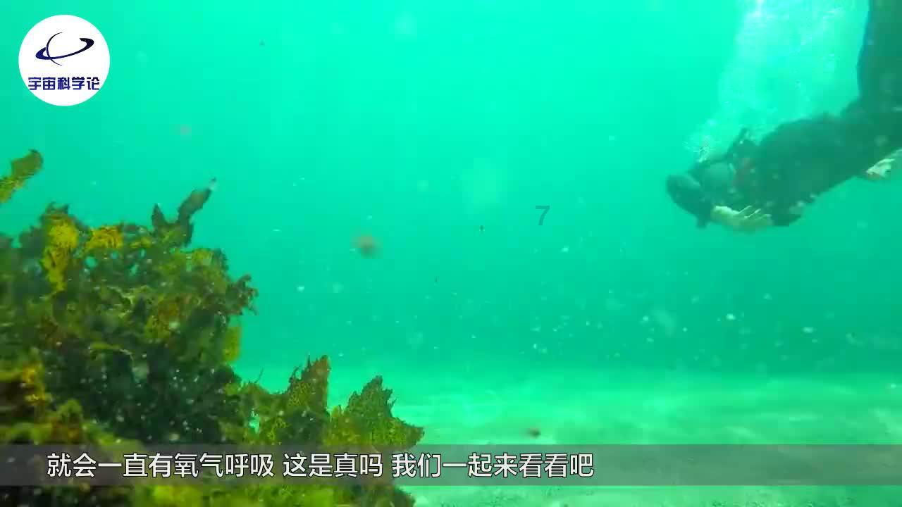 聊城消防集中查封、关停一批突出风险隐患单位