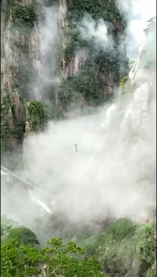 救援受困的火鸡
